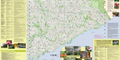 Harta e kopshte Toronto lindje