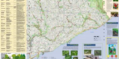 Harta e parqeve dhe duke ecur shtigjeve Lindje Toronto