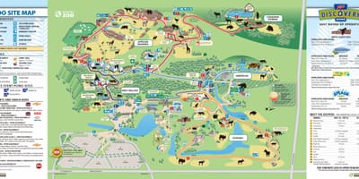 Harta e Torontos në kopshtin zoologjik